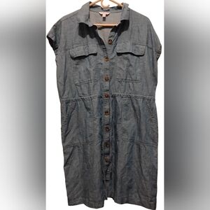 Time and Tru Light Blue Button-Front Shirt Dress